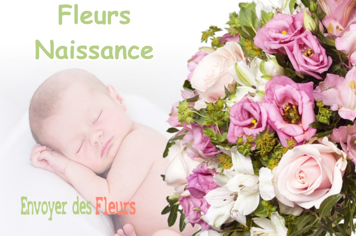 lIVRAISON FLEURS NAISSANCE à DESMONTS